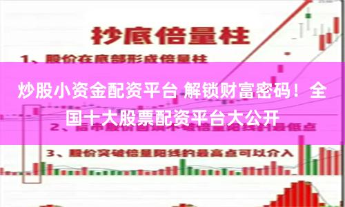 炒股小资金配资平台 解锁财富密码！全国十大股票配资平台大公开