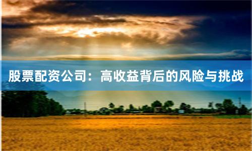 股票配资公司：高收益背后的风险与挑战