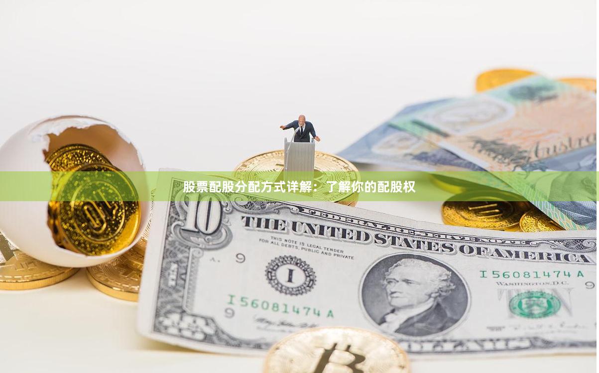 股票配股分配方式详解：了解你的配股权