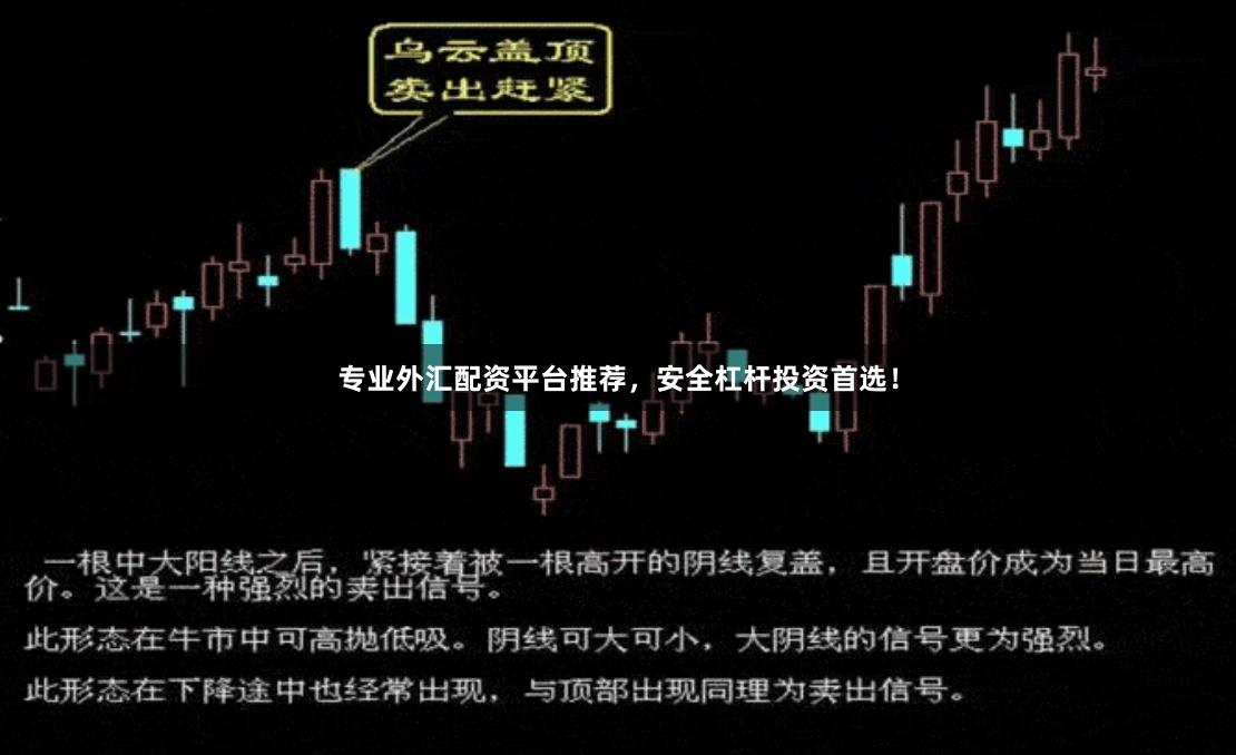 专业外汇配资平台推荐，安全杠杆投资首选！